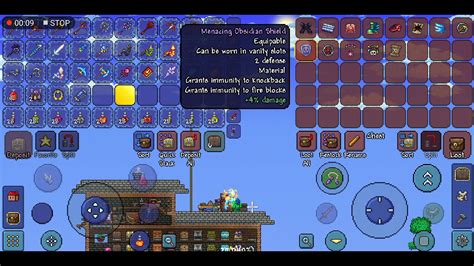 terraria mount vanity slot mod.